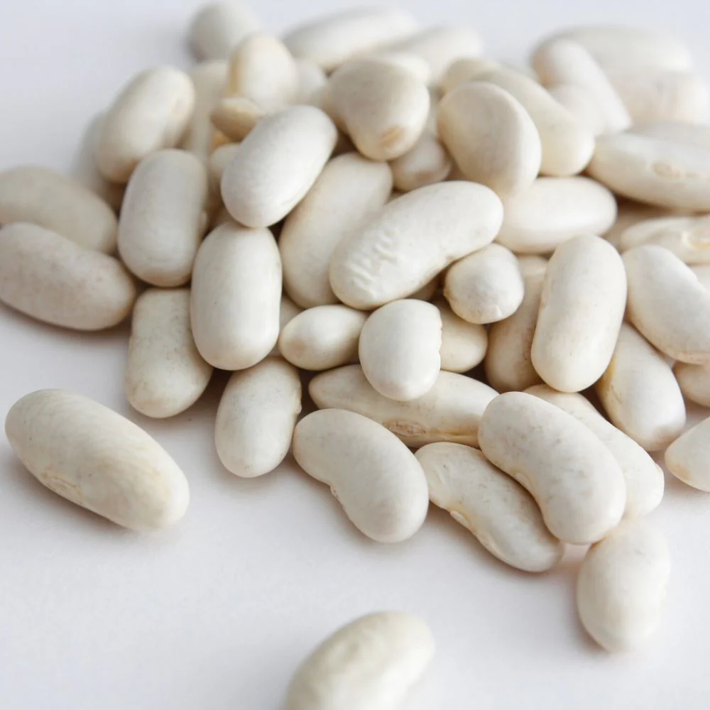 Cannellini Beans (Dry) - Bag - Image 3