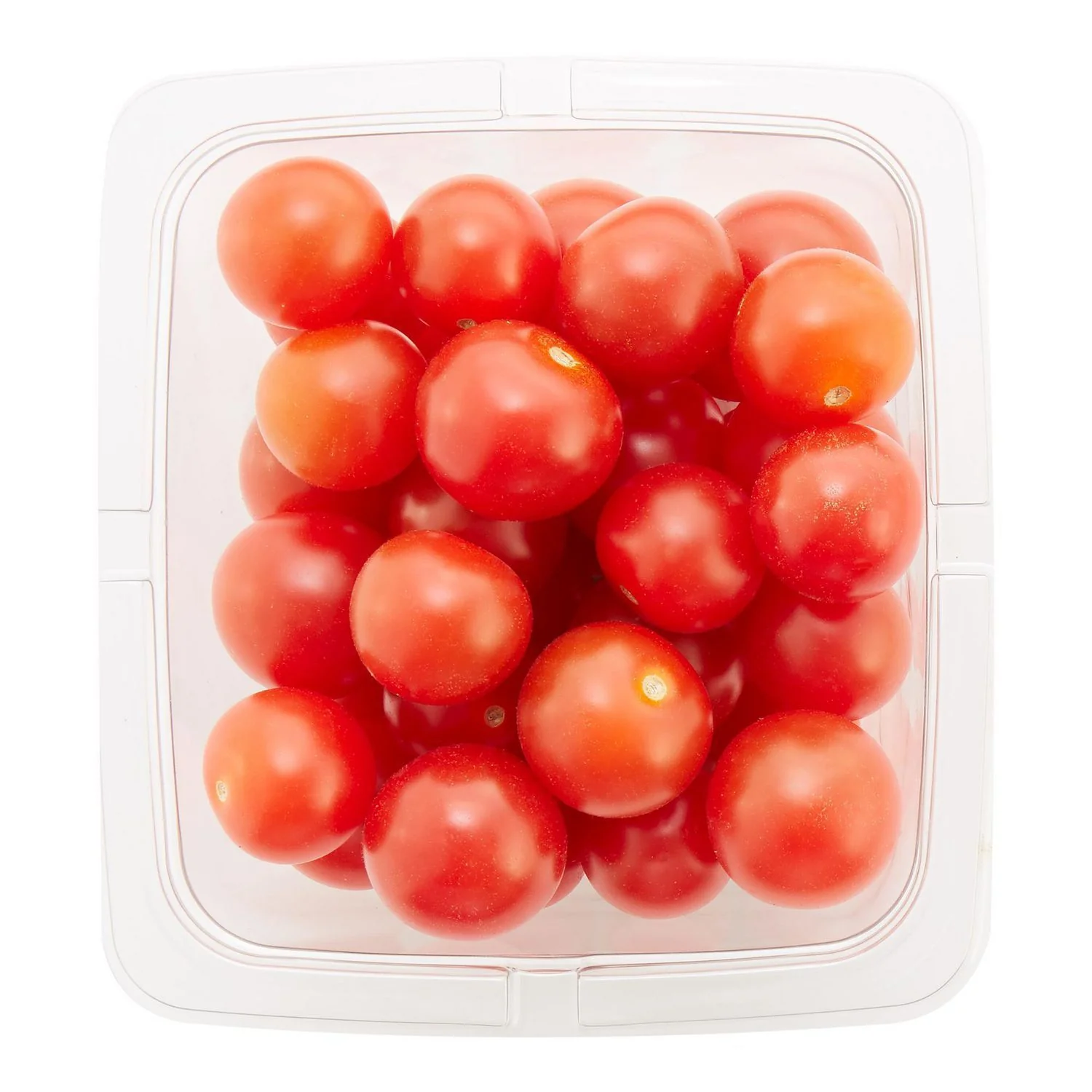 Cherry Tomatoes - Can - Image 3
