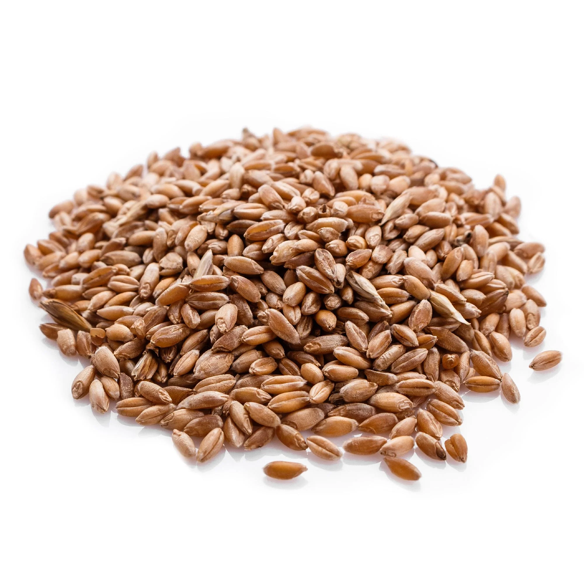 Tuscan Farro Gain - Bag - Image 2